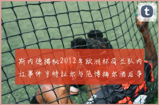 斯内德揭秘2012年欧洲杯荷兰队内讧事件亨特拉尔与范博梅尔酒后争执内幕